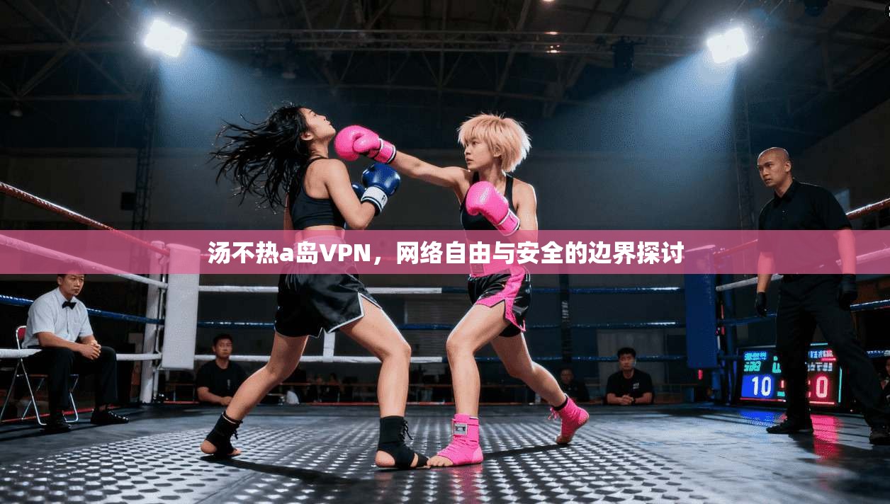 汤不热a岛VPN,网络自由与安全的边界探讨