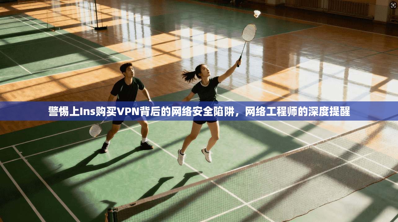 警惕上Ins购买VPN背后的网络安全陷阱,网络工程师的深度提醒