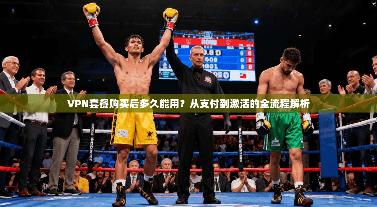 VPN套餐购买后多久能用？从支付到激活的全流程解析