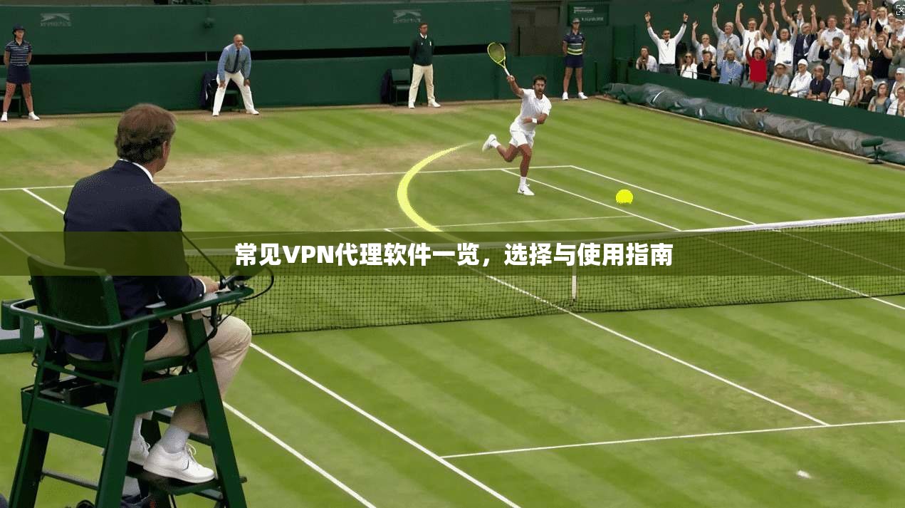 常见VPN代理软件一览，选择与使用指南
