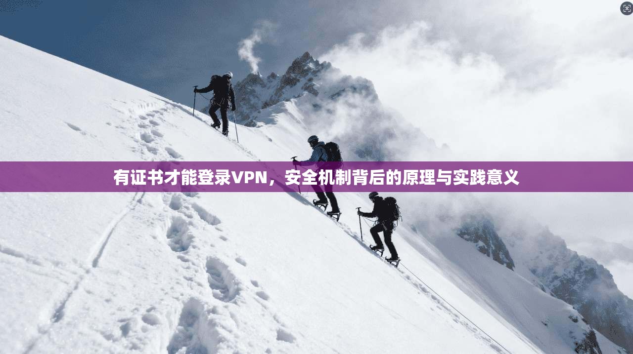 有证书才能登录VPN,安全机制背后的原理与实践意义