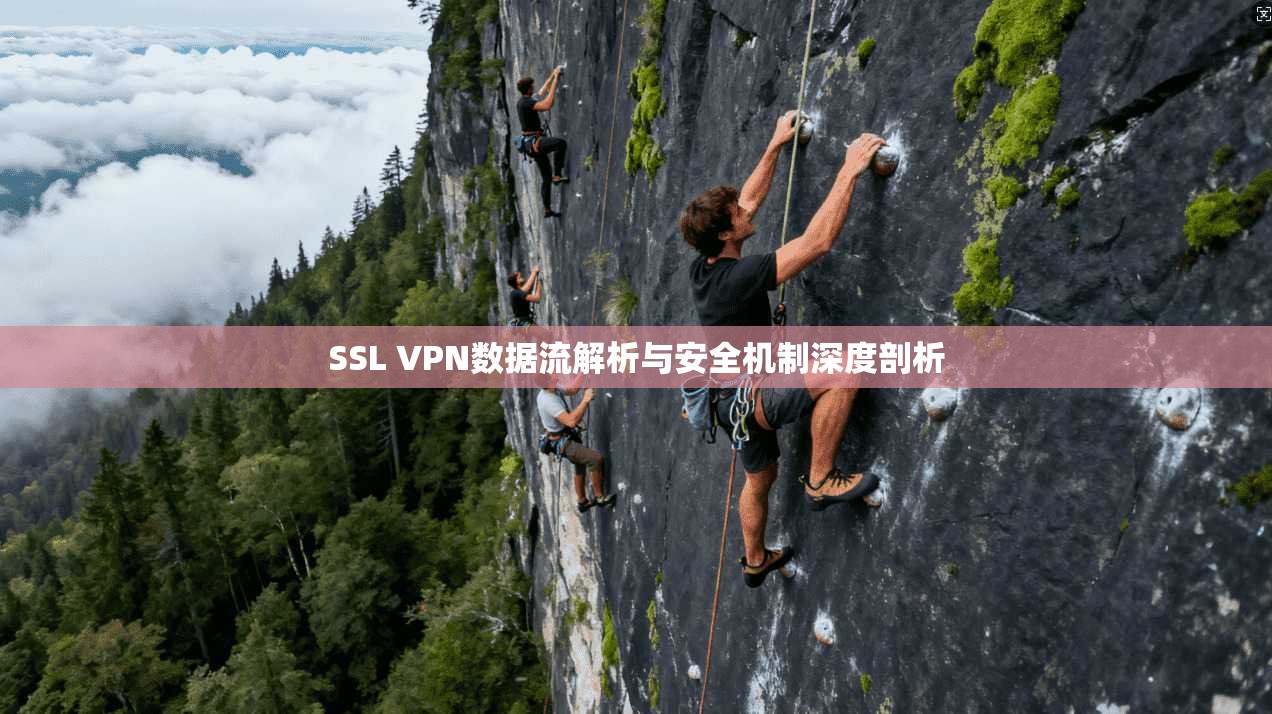 SSL VPN数据流解析与安全机制深度剖析