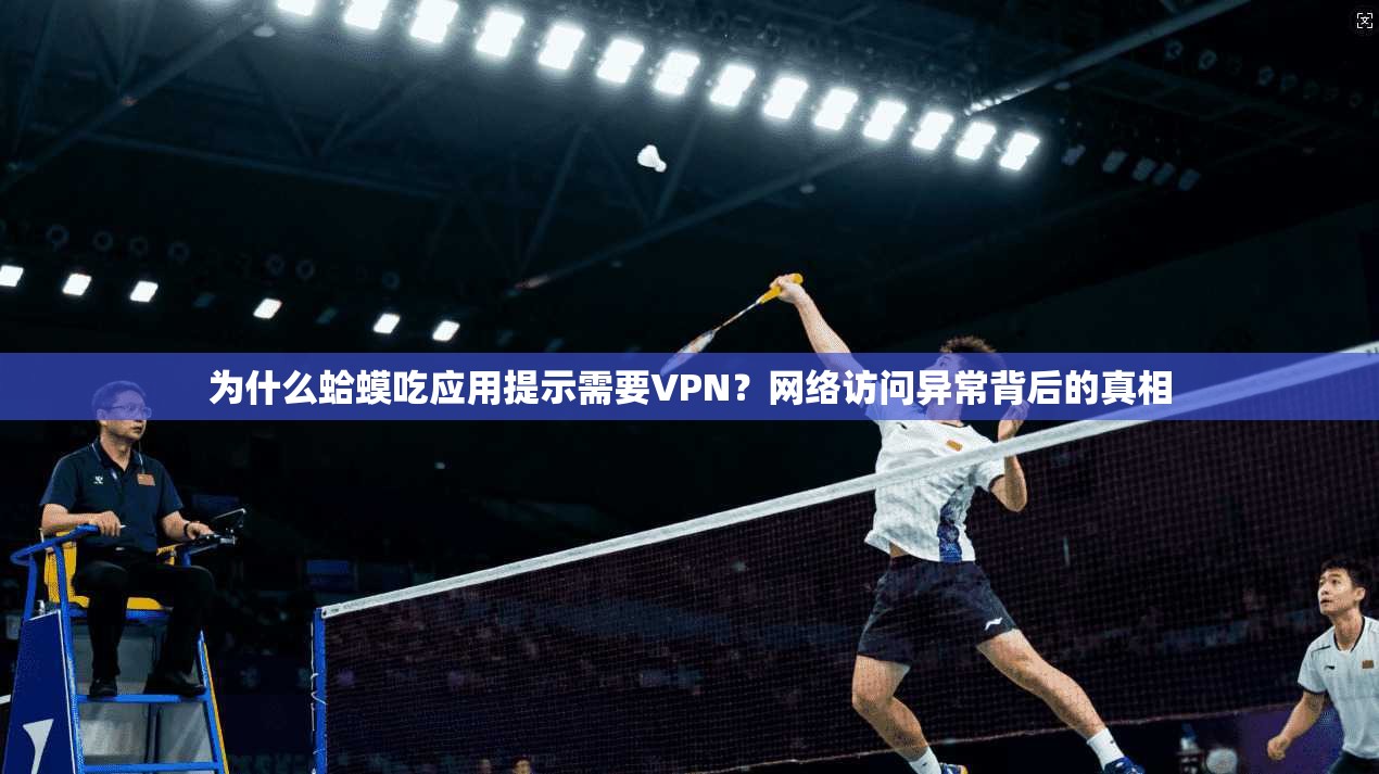 为什么蛤蟆吃应用提示需要VPN?网络访问异常背后的真相