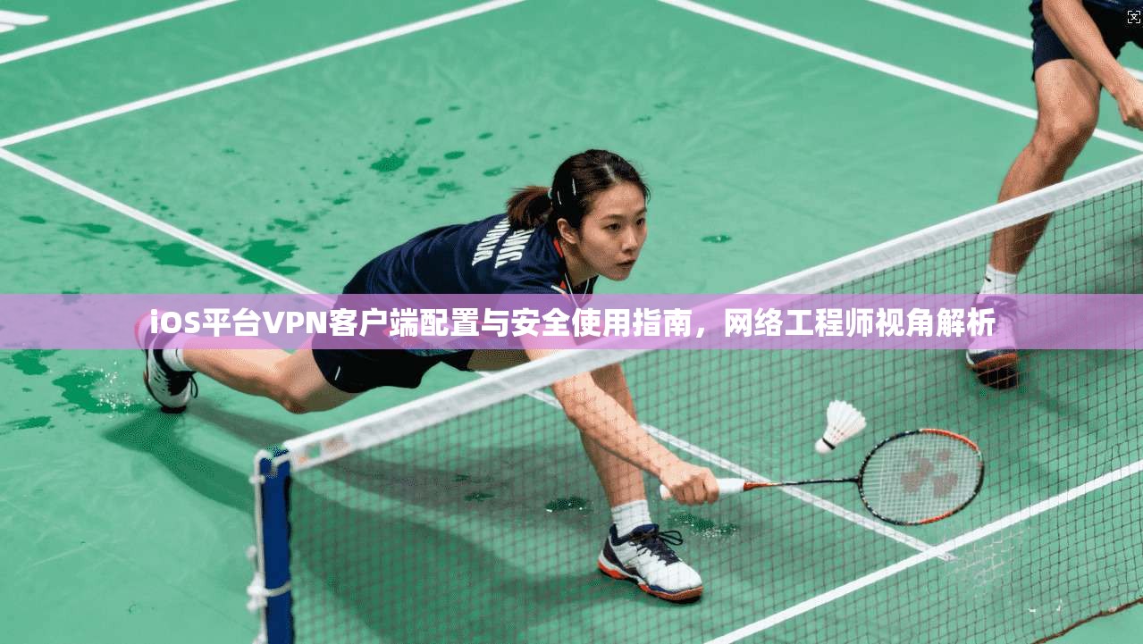 iOS平台VPN客户端配置与安全使用指南，网络工程师视角解析