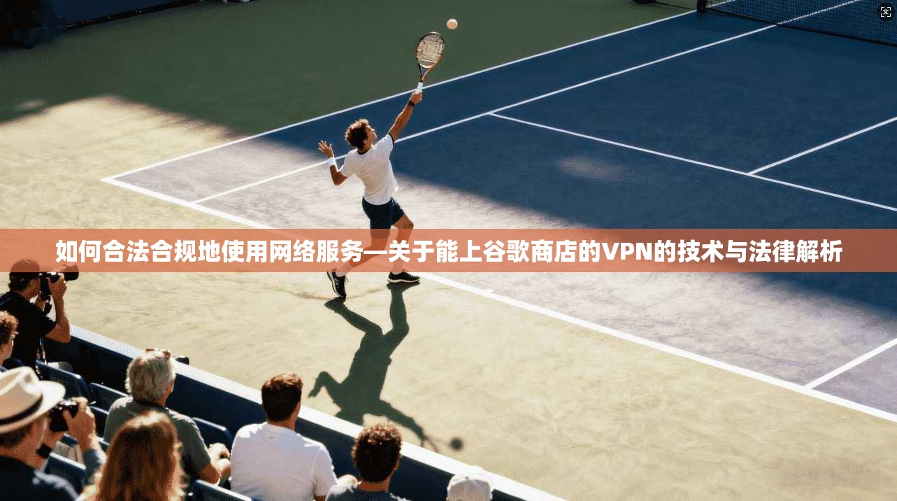 如何合法合规地使用网络服务—关于能上谷歌商店的VPN的技术与法律解析