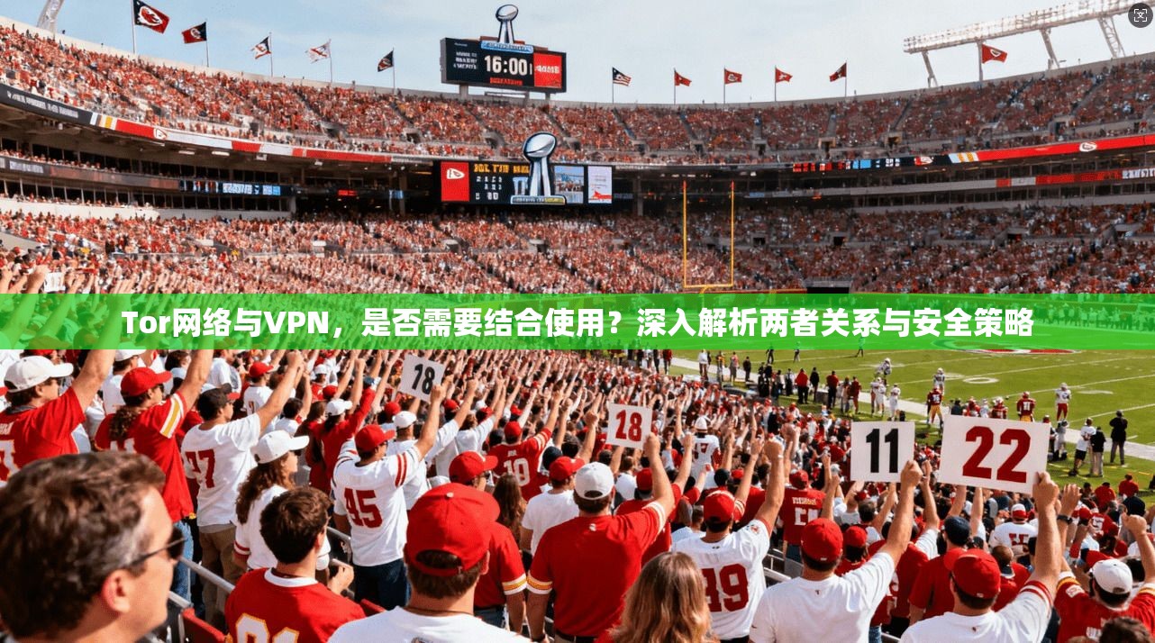 Tor网络与VPN，是否需要结合使用？深入解析两者关系与安全策略