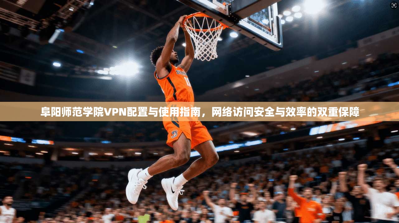 阜阳师范学院VPN配置与使用指南，网络访问安全与效率的双重保障