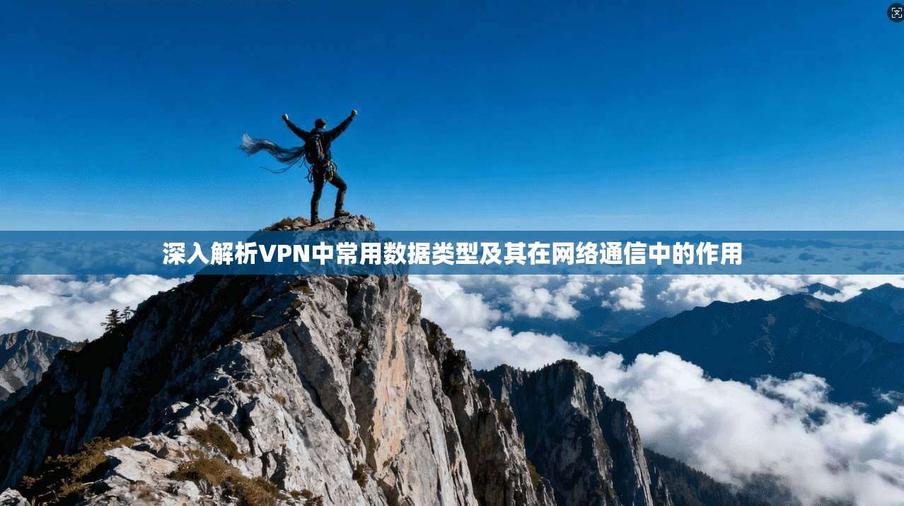 深入解析VPN中常用数据类型及其在网络通信中的作用