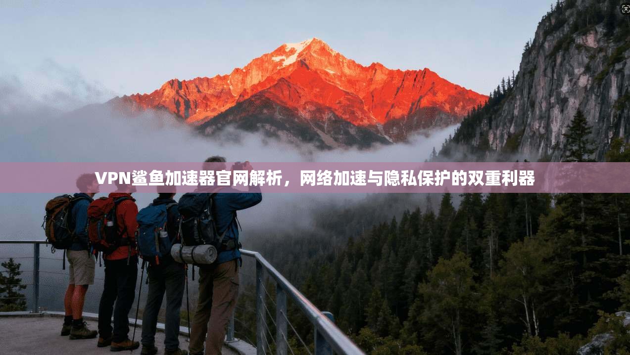 VPN鲨鱼加速器官网解析,网络加速与隐私保护的双重利器