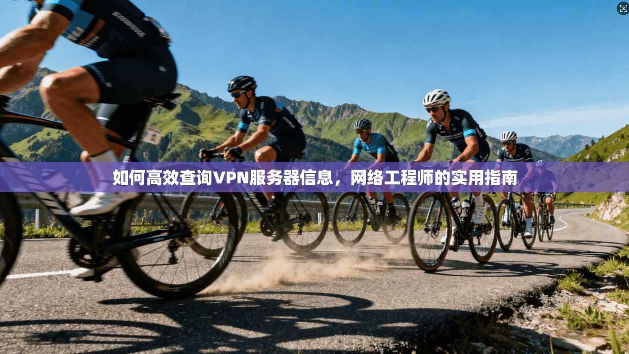 如何高效查询VPN服务器信息，网络工程师的实用指南