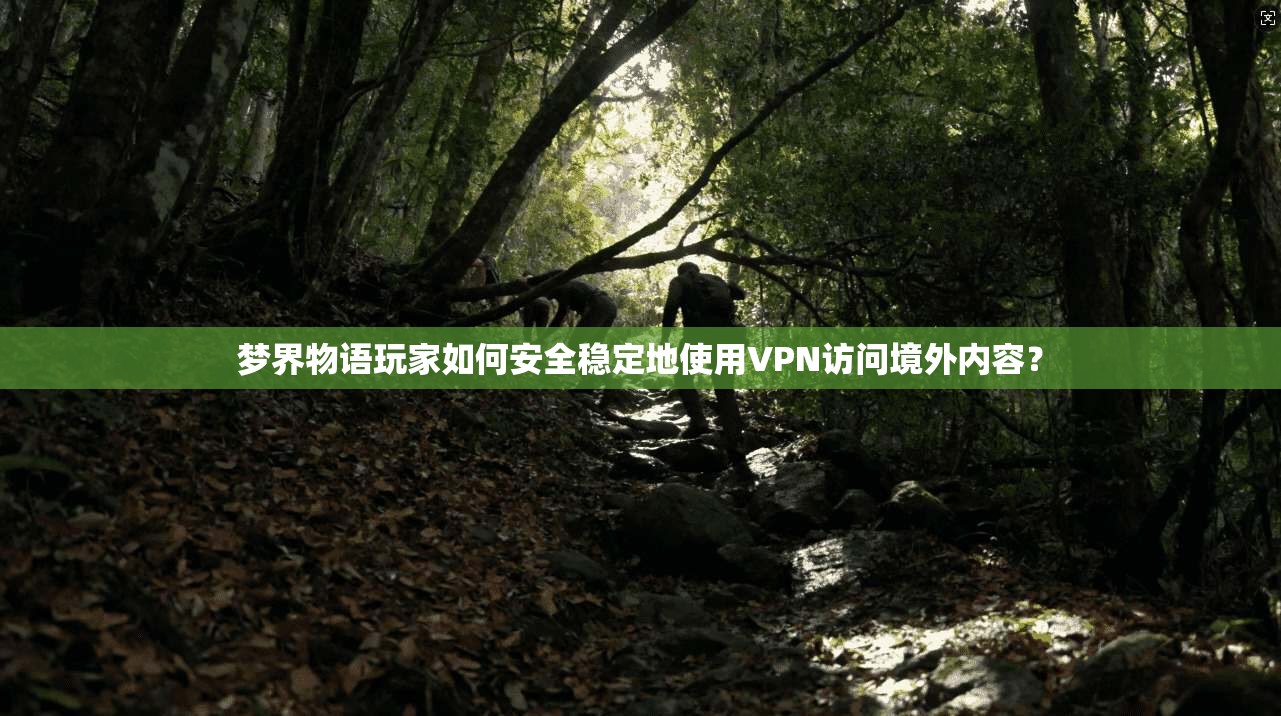 梦界物语玩家如何安全稳定地使用VPN访问境外内容？