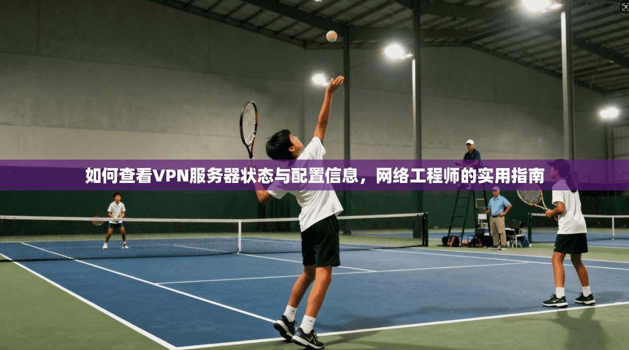 如何查看VPN服务器状态与配置信息,网络工程师的实用指南
