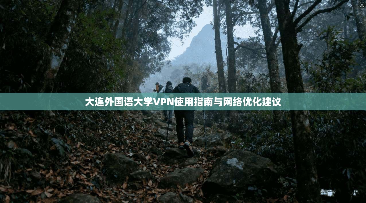 大连外国语大学VPN使用指南与网络优化建议