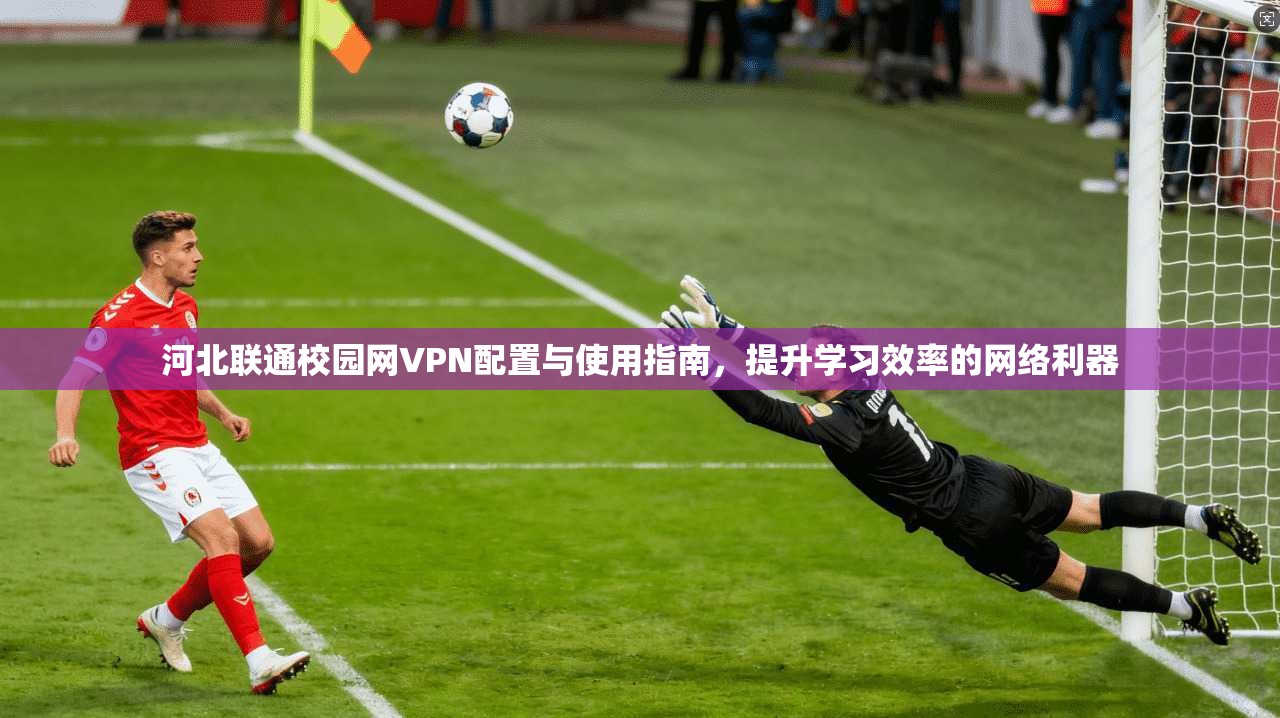 河北联通校园网VPN配置与使用指南，提升学习效率的网络利器