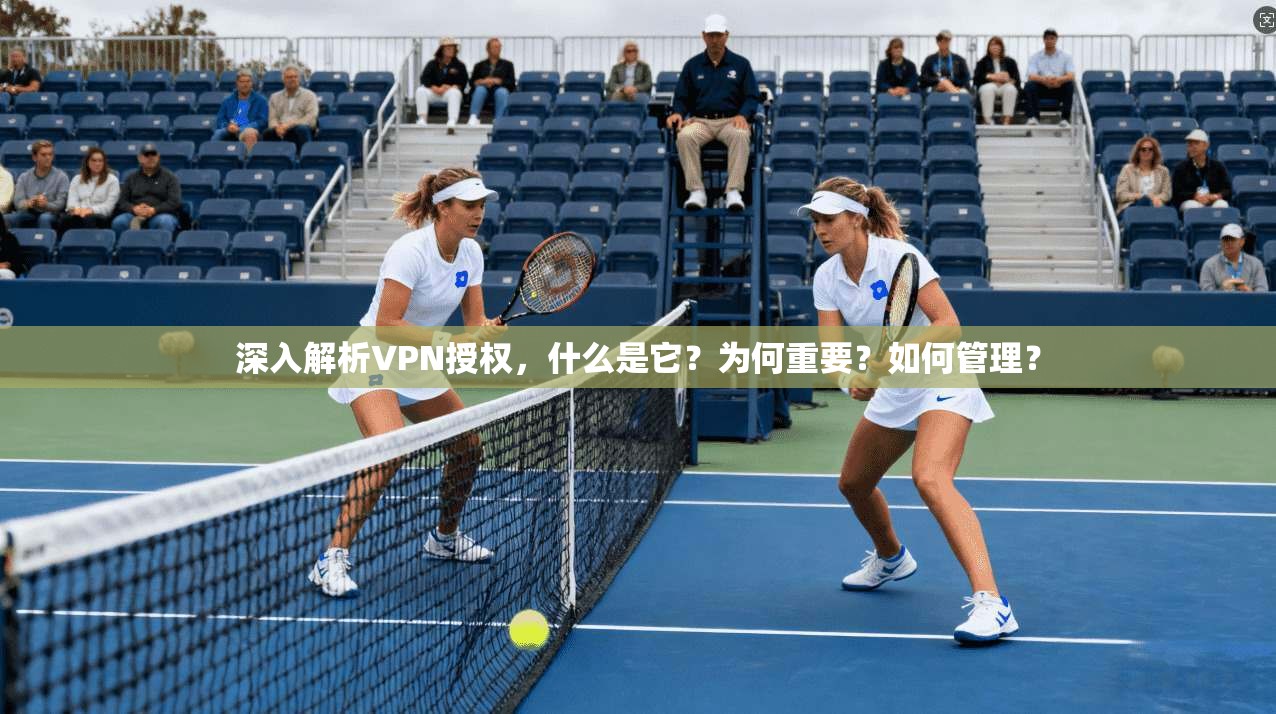 深入解析VPN授权，什么是它？为何重要？如何管理？