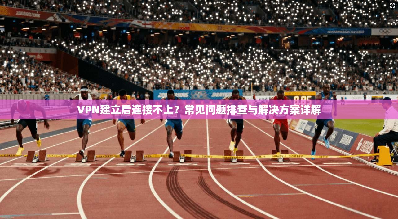 VPN建立后连接不上?常见问题排查与解决方案详解