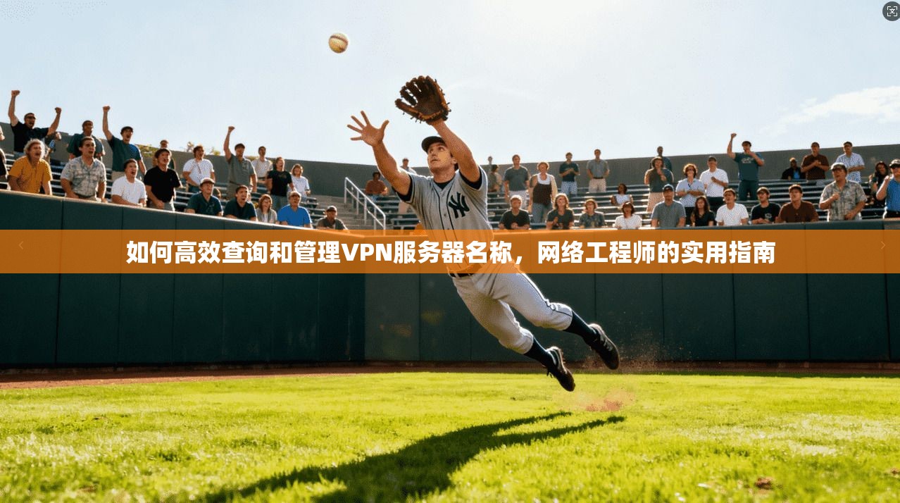 如何高效查询和管理VPN服务器名称，网络工程师的实用指南