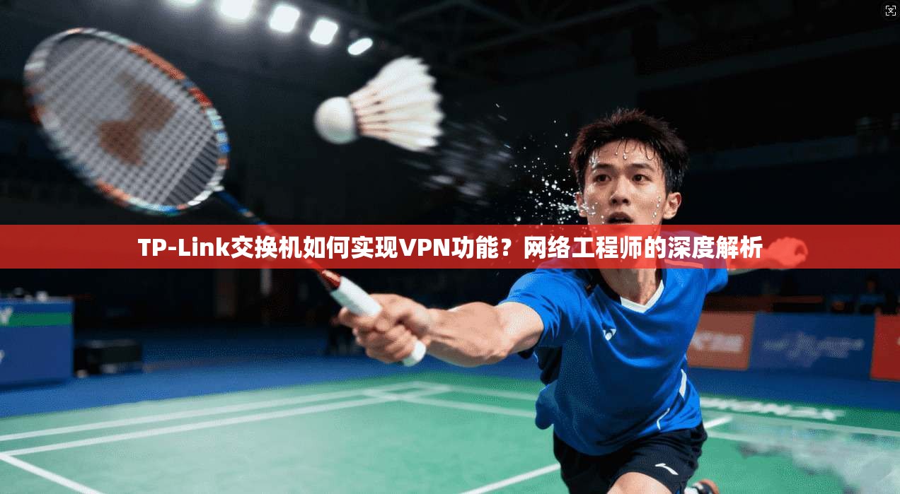 TP-Link交换机如何实现VPN功能?网络工程师的深度解析