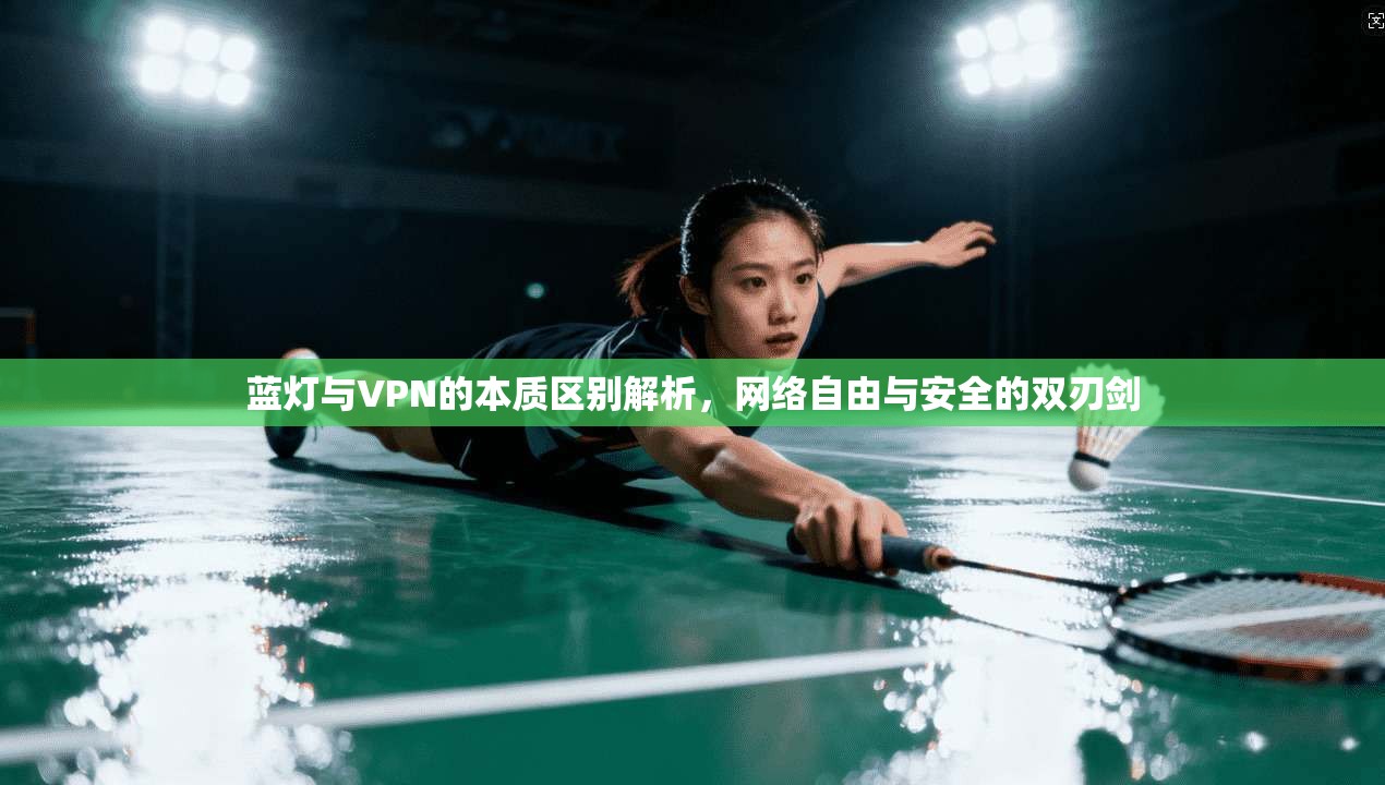 蓝灯与VPN的本质区别解析,网络自由与安全的双刃剑