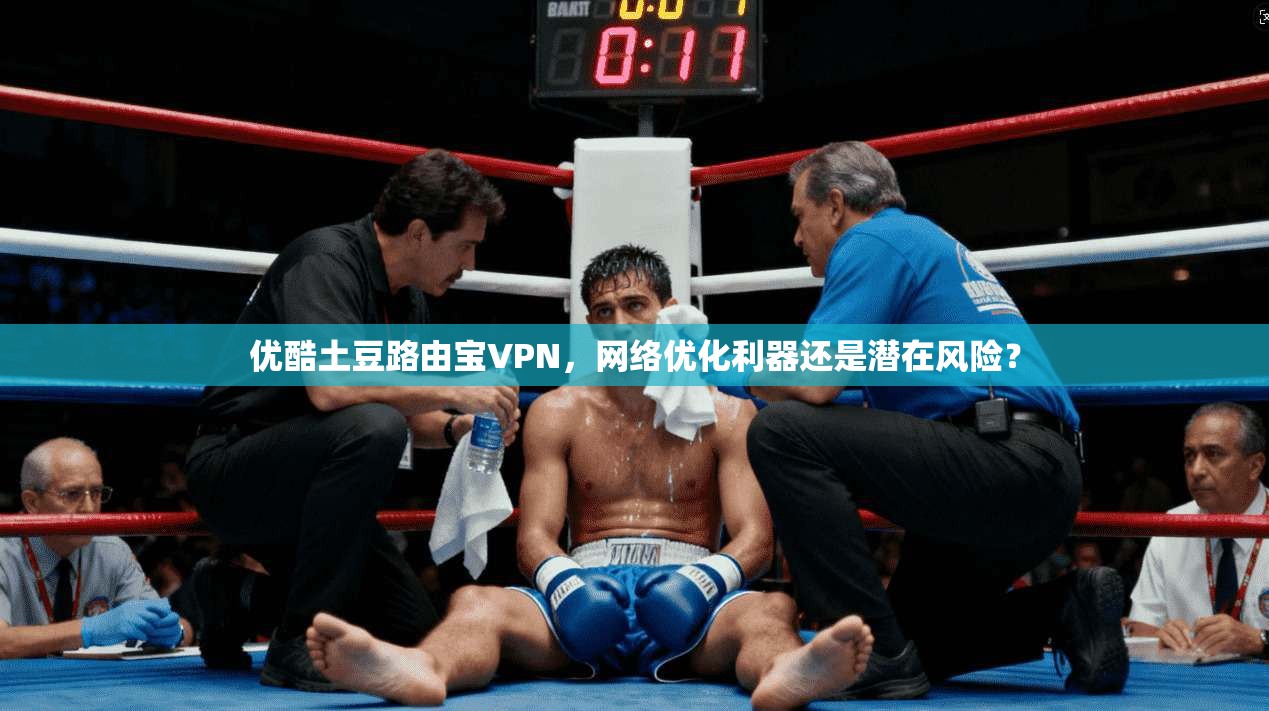 优酷土豆路由宝VPN，网络优化利器还是潜在风险？