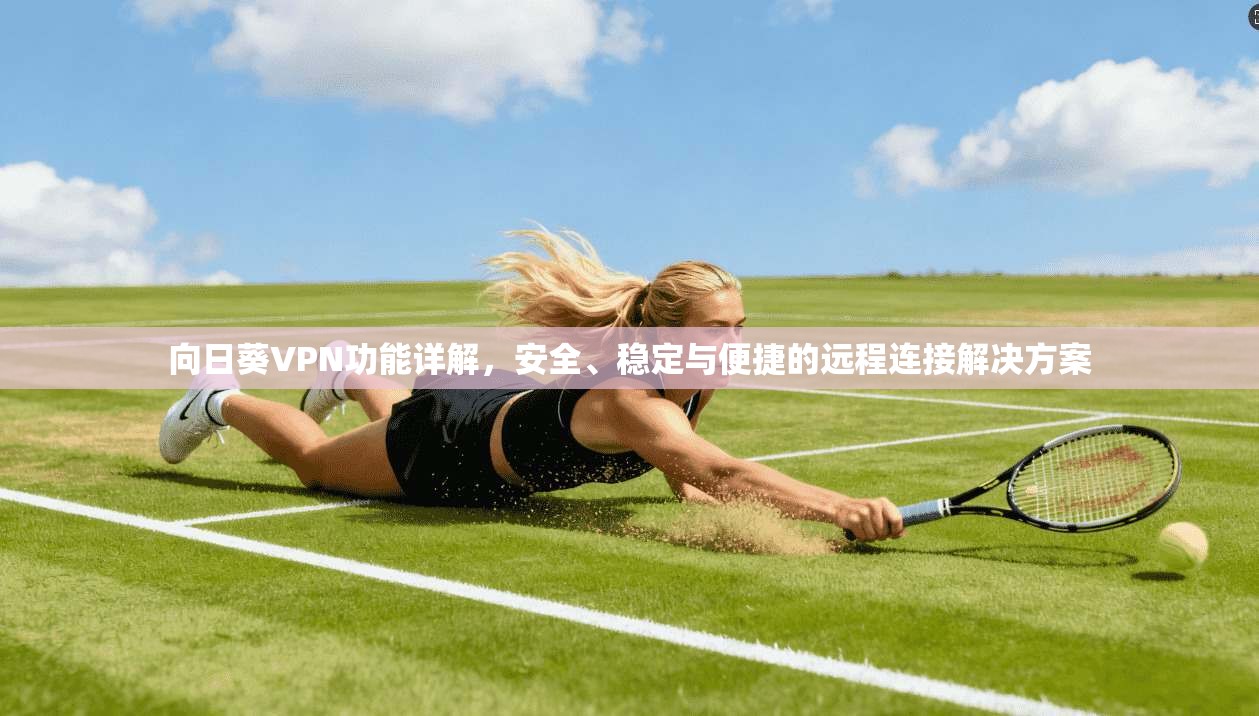 向日葵VPN功能详解,安全、稳定与便捷的远程连接解决方案