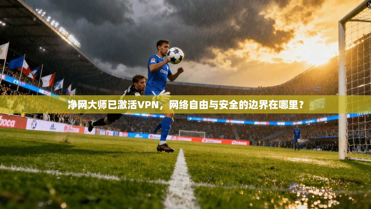净网大师已激活VPN,网络自由与安全的边界在哪里?