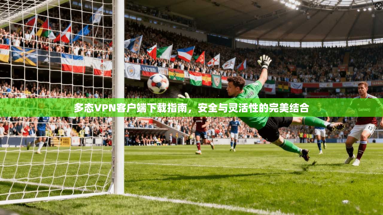多态VPN客户端下载指南，安全与灵活性的完美结合