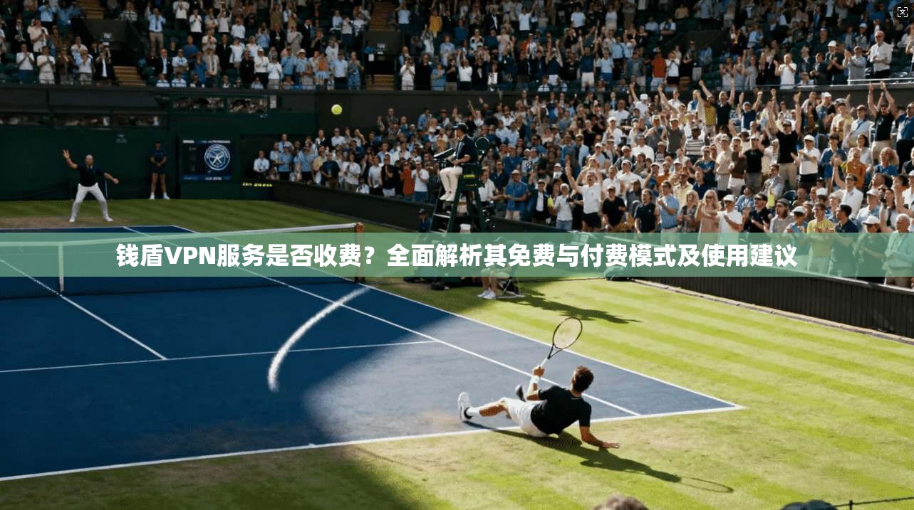 钱盾VPN服务是否收费？全面解析其免费与付费模式及使用建议