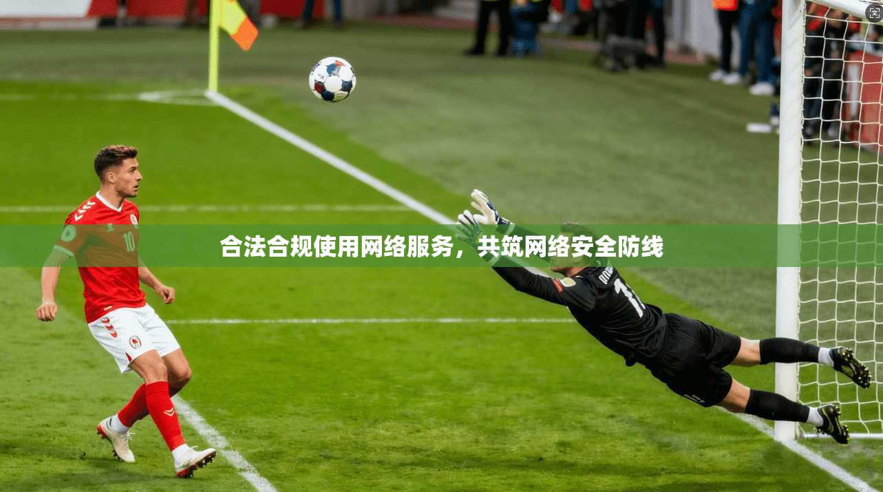 合法合规使用网络服务，共筑网络安全防线