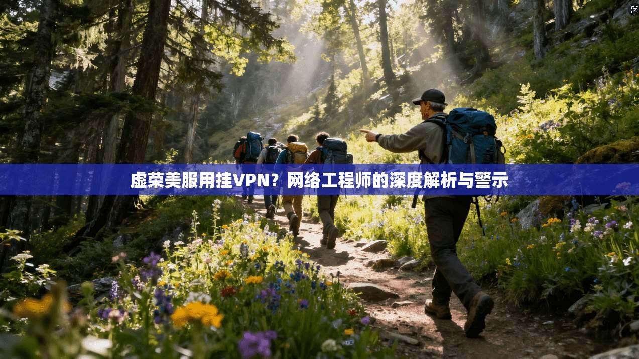 虚荣美服用挂VPN?网络工程师的深度解析与警示