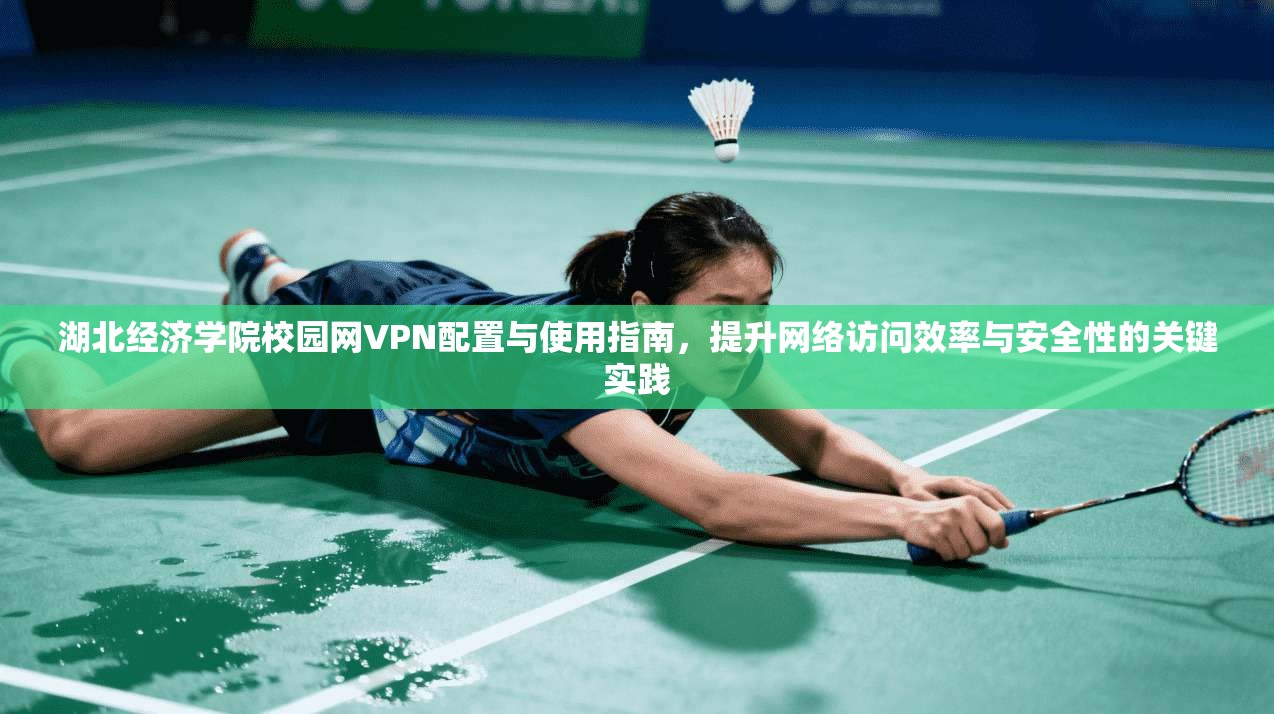 湖北经济学院校园网VPN配置与使用指南，提升网络访问效率与安全性的关键实践