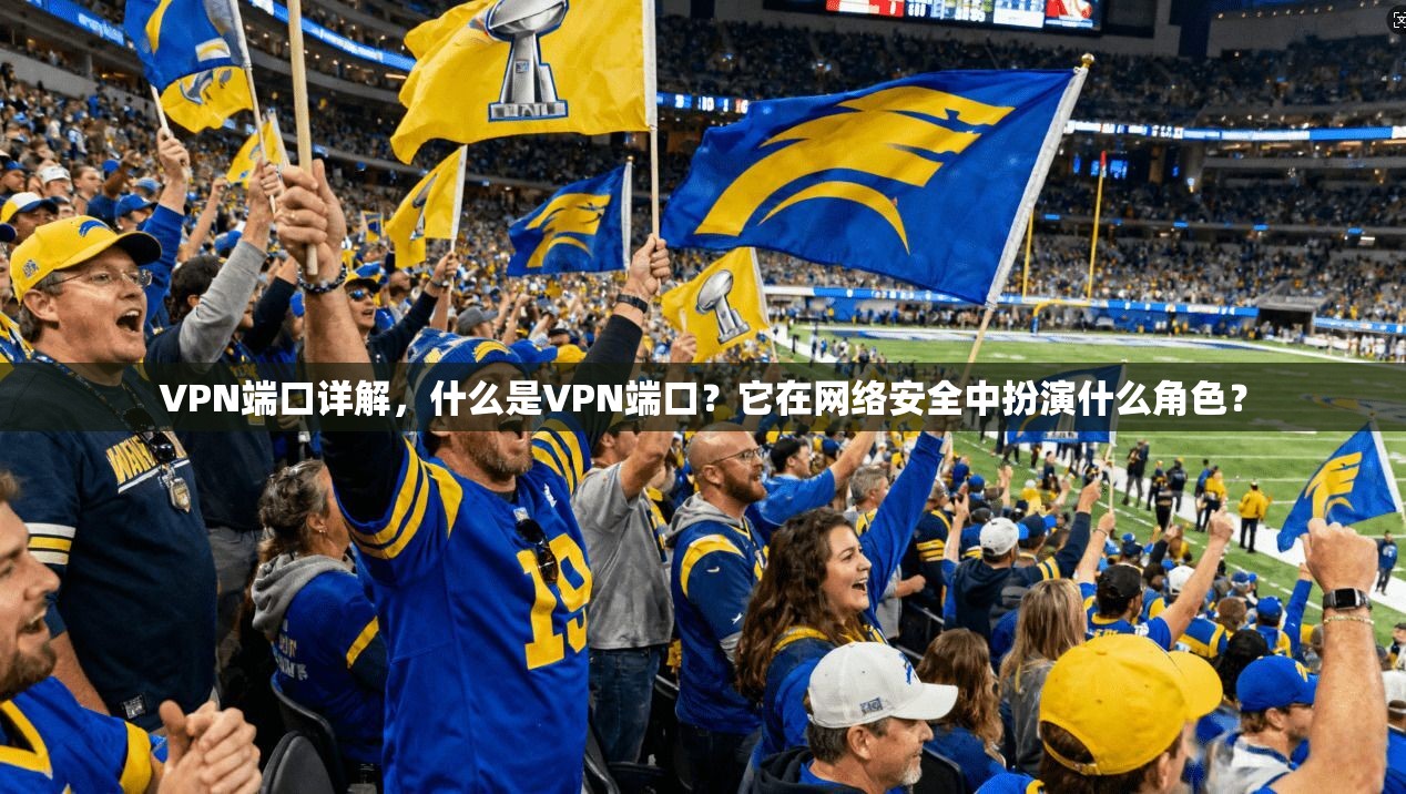 VPN端口详解，什么是VPN端口？它在网络安全中扮演什么角色？