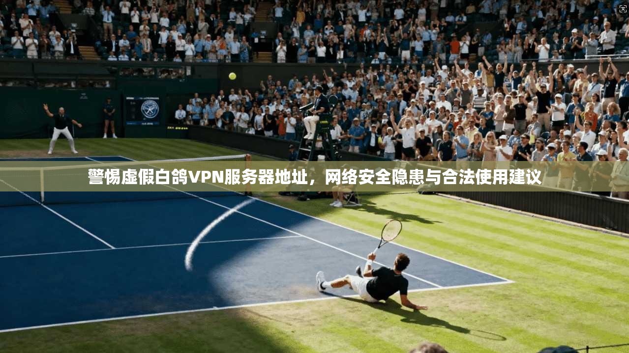 警惕虚假白鸽VPN服务器地址，网络安全隐患与合法使用建议