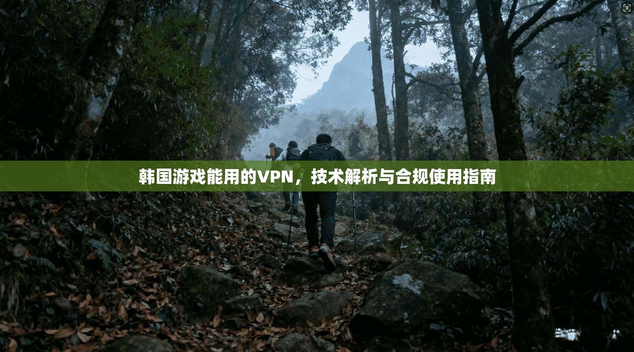 韩国游戏能用的VPN，技术解析与合规使用指南