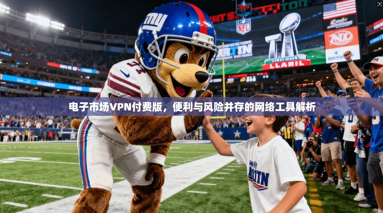 电子市场VPN付费版，便利与风险并存的网络工具解析