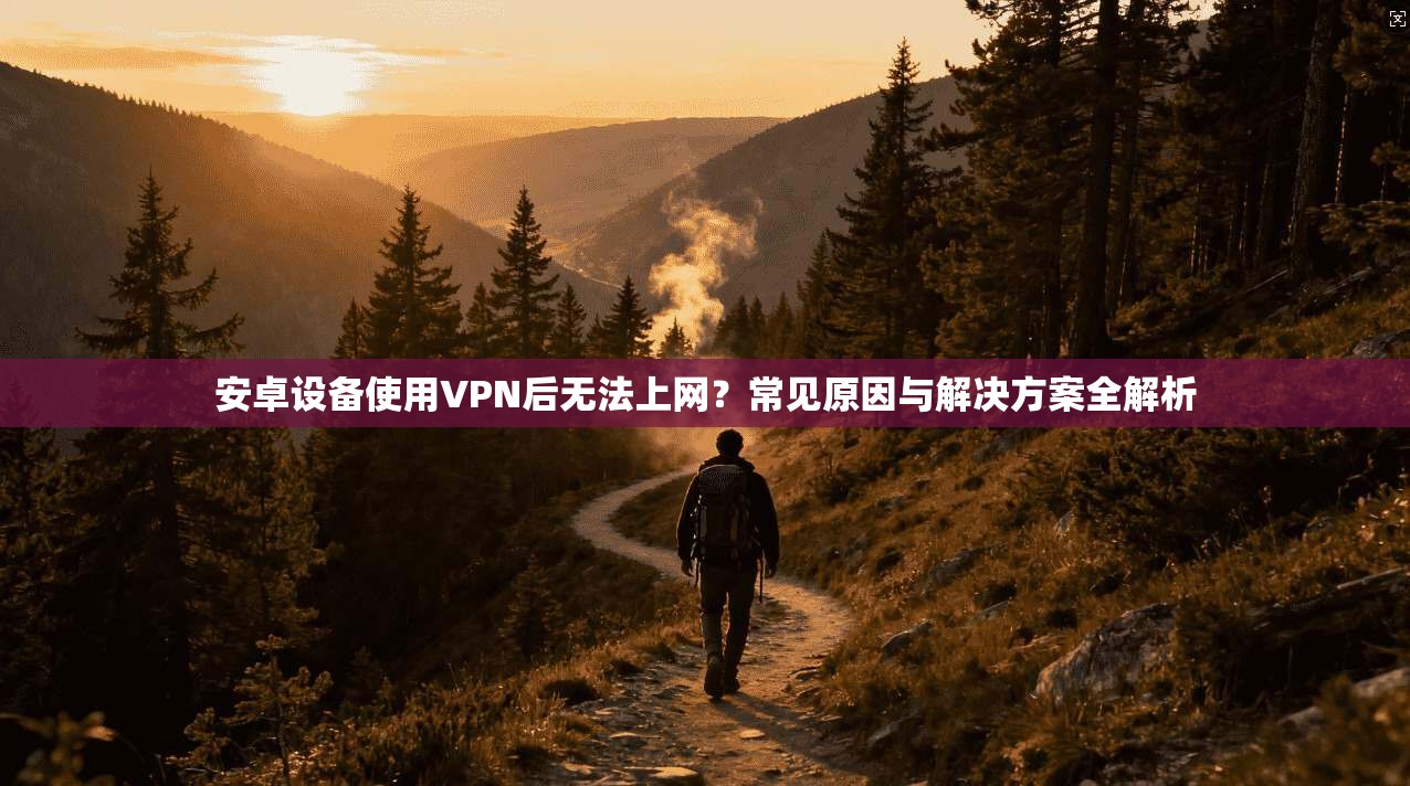 安卓设备使用VPN后无法上网？常见原因与解决方案全解析