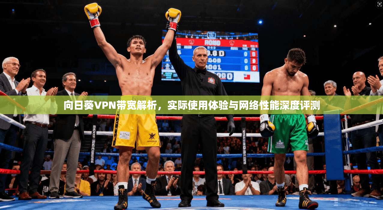 向日葵VPN带宽解析，实际使用体验与网络性能深度评测