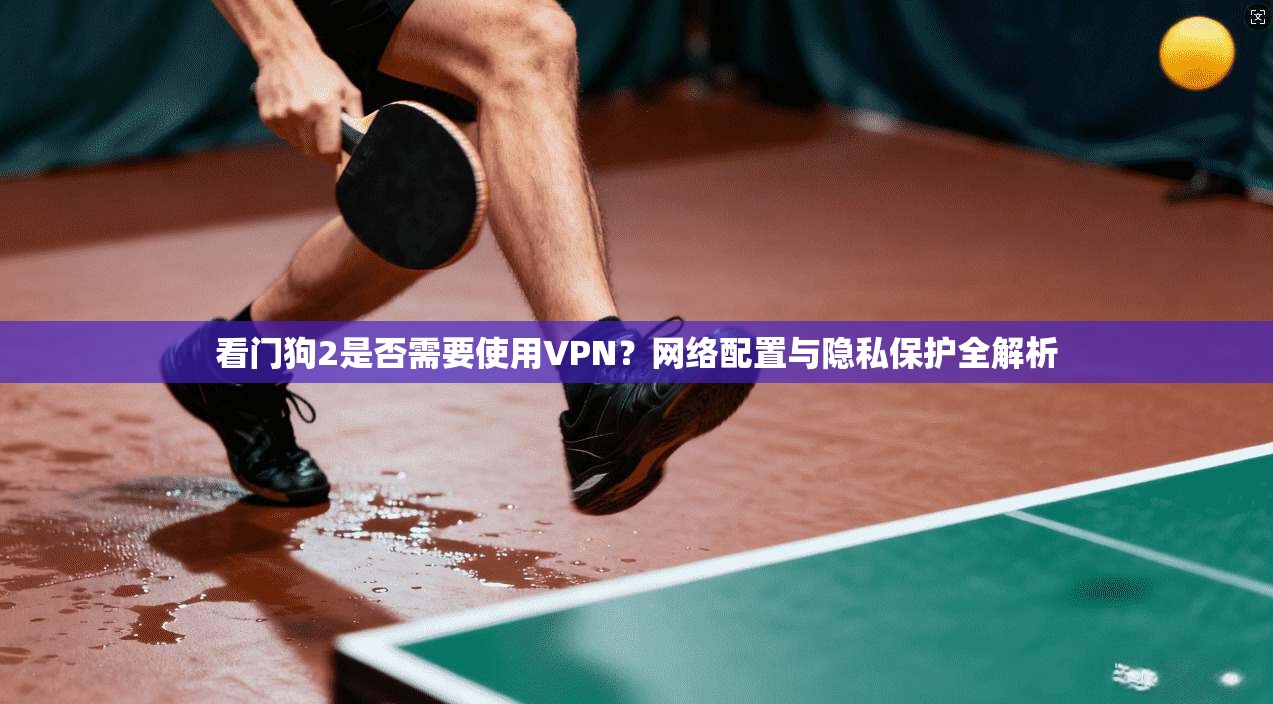 看门狗2是否需要使用VPN？网络配置与隐私保护全解析