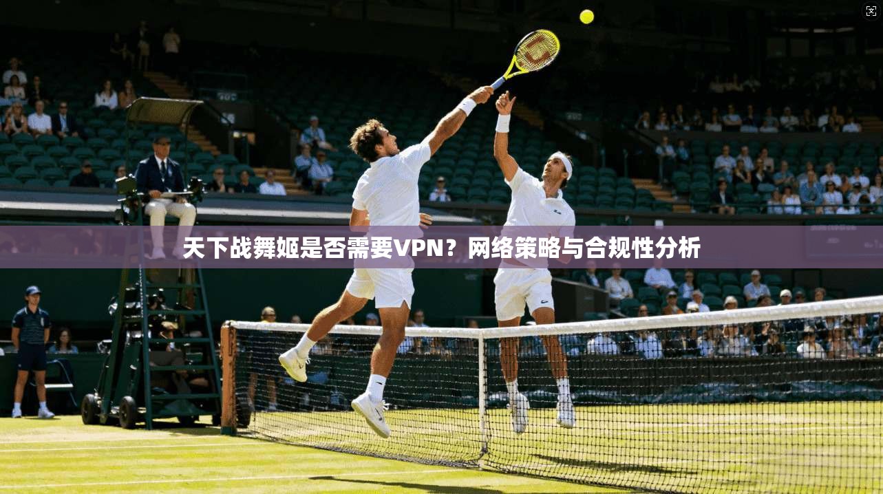 天下战舞姬是否需要VPN?网络策略与合规性分析
