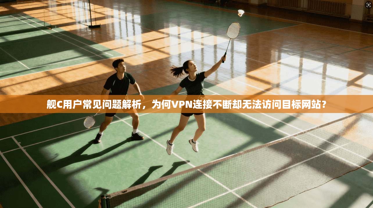 舰C用户常见问题解析，为何VPN连接不断却无法访问目标网站？
