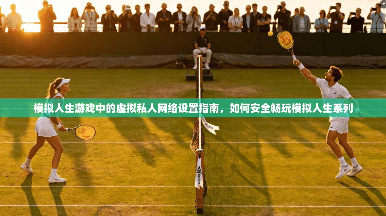 模拟人生游戏中的虚拟私人网络设置指南,如何安全畅玩模拟人生系列