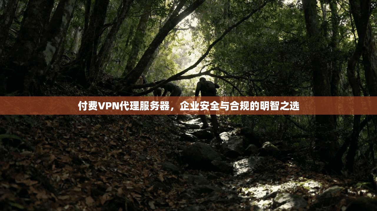 付费VPN代理服务器，企业安全与合规的明智之选