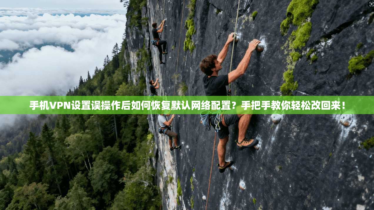 手机VPN设置误操作后如何恢复默认网络配置？手把手教你轻松改回来！