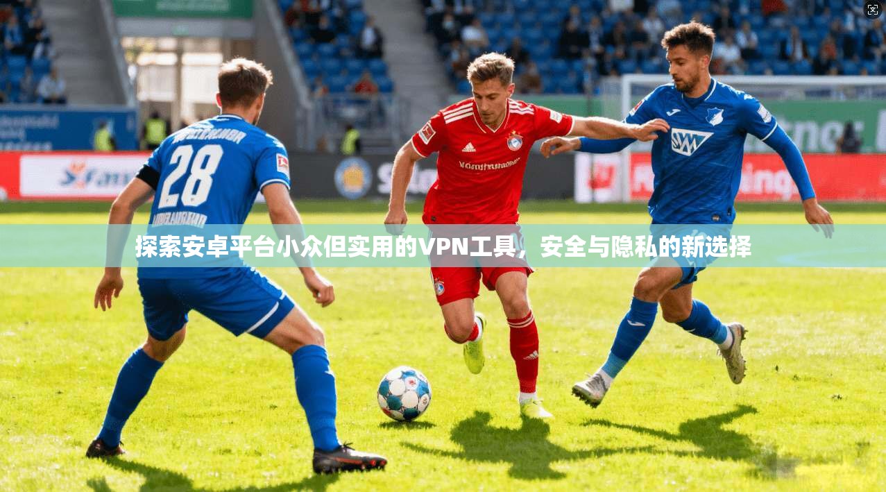 探索安卓平台小众但实用的VPN工具，安全与隐私的新选择