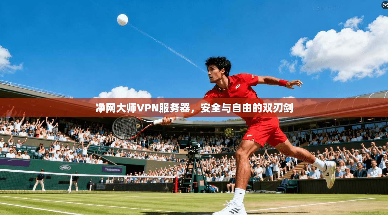 净网大师VPN服务器，安全与自由的双刃剑