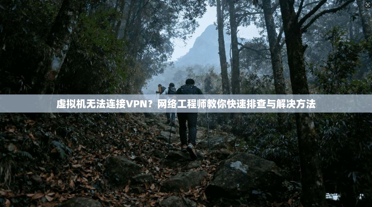 虚拟机无法连接VPN？网络工程师教你快速排查与解决方法