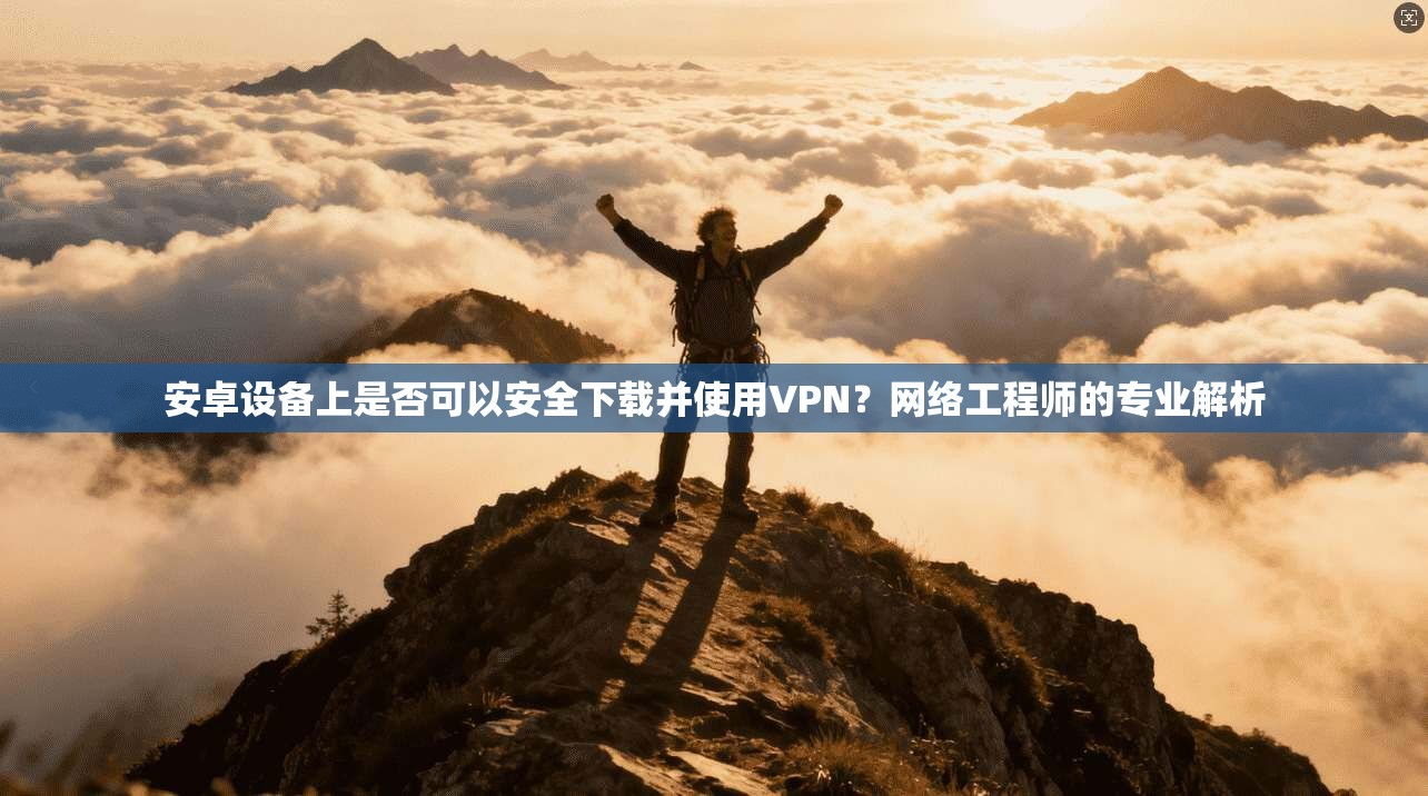 安卓设备上是否可以安全下载并使用VPN？网络工程师的专业解析