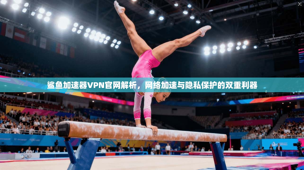 鲨鱼加速器VPN官网解析，网络加速与隐私保护的双重利器