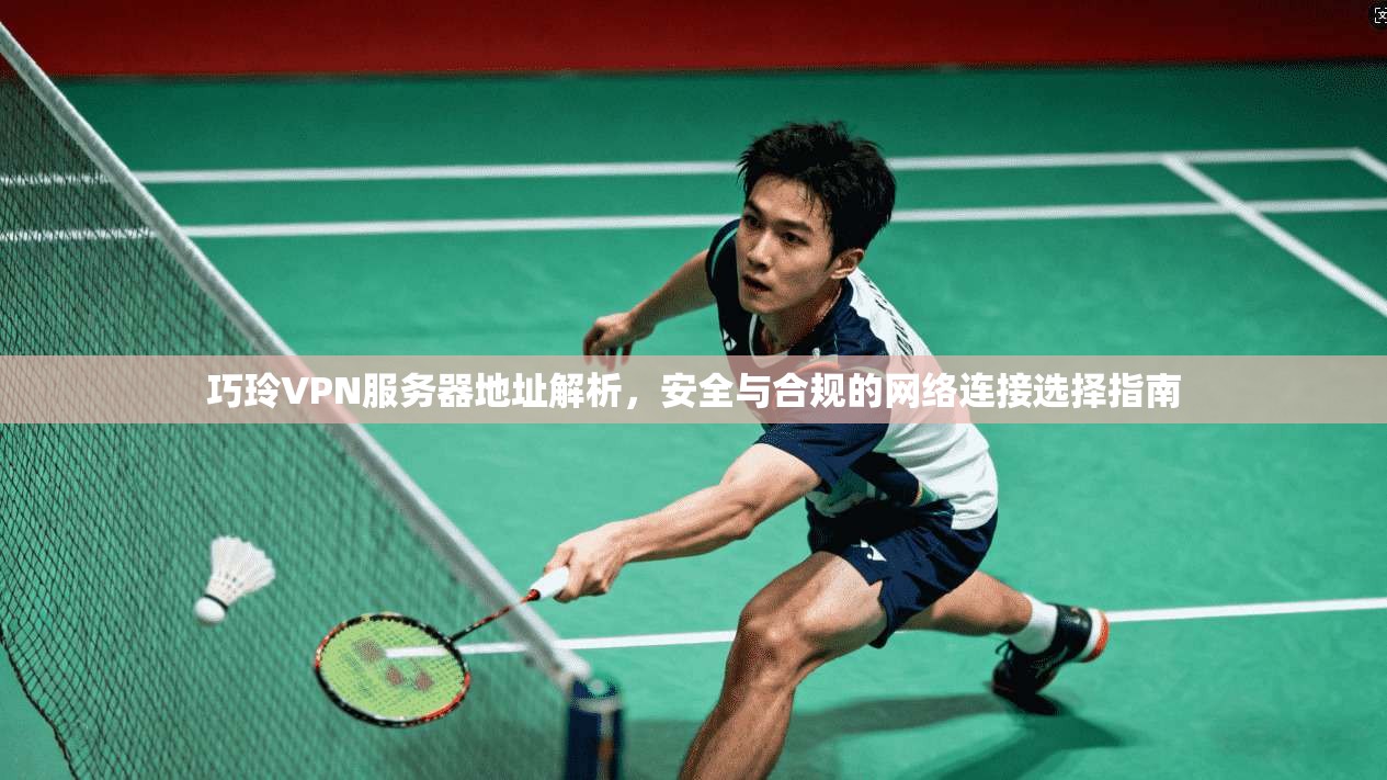 巧玲VPN服务器地址解析，安全与合规的网络连接选择指南