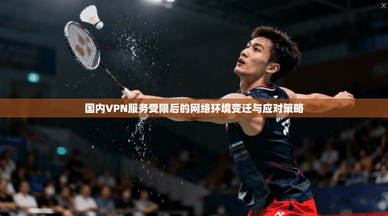 国内VPN服务受限后的网络环境变迁与应对策略
